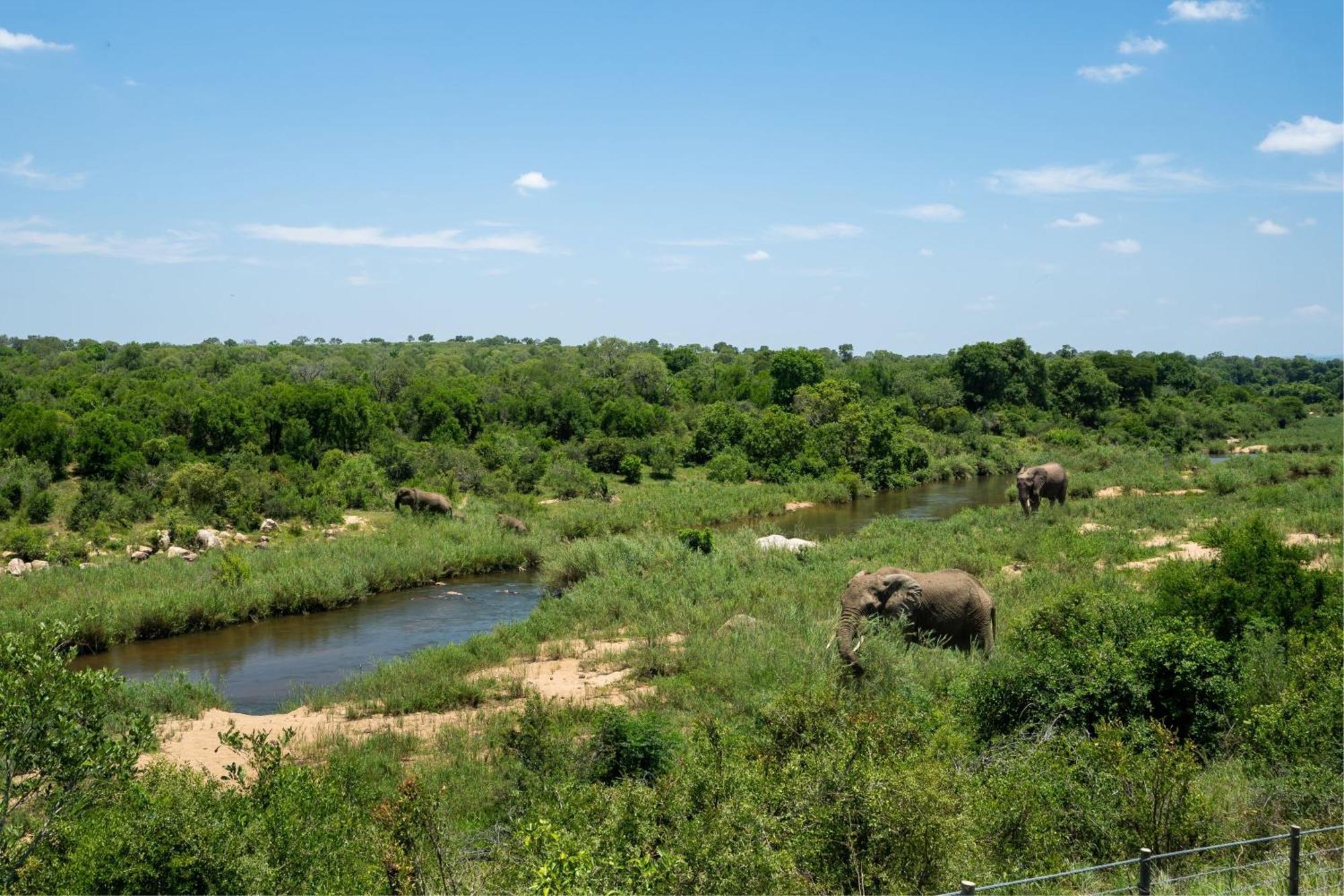 סקוקוזה Leopard Sands Kruger Park מראה חיצוני תמונה
